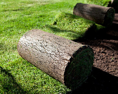 Artificial Grass Santa Maria, CA